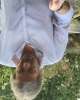 profilepicture